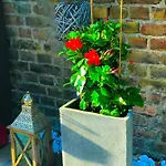Apartment Casa20200 2 X Je 150qm Für Business, Familien, Gruppen, Handwerker 15min Von Berlin, Erdbeerhof, Outlet B5, 5min Vom !! 2 Each 150qm For Business , Families 15min From Berlin!!